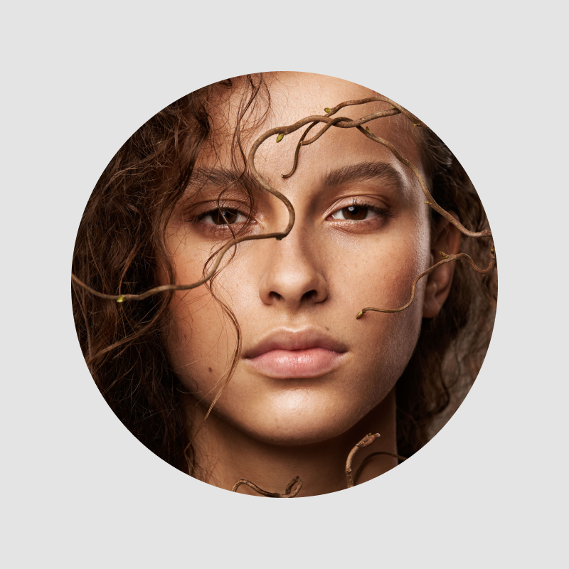 PACK BRAND MEMBER THE UNTAMED MAROC