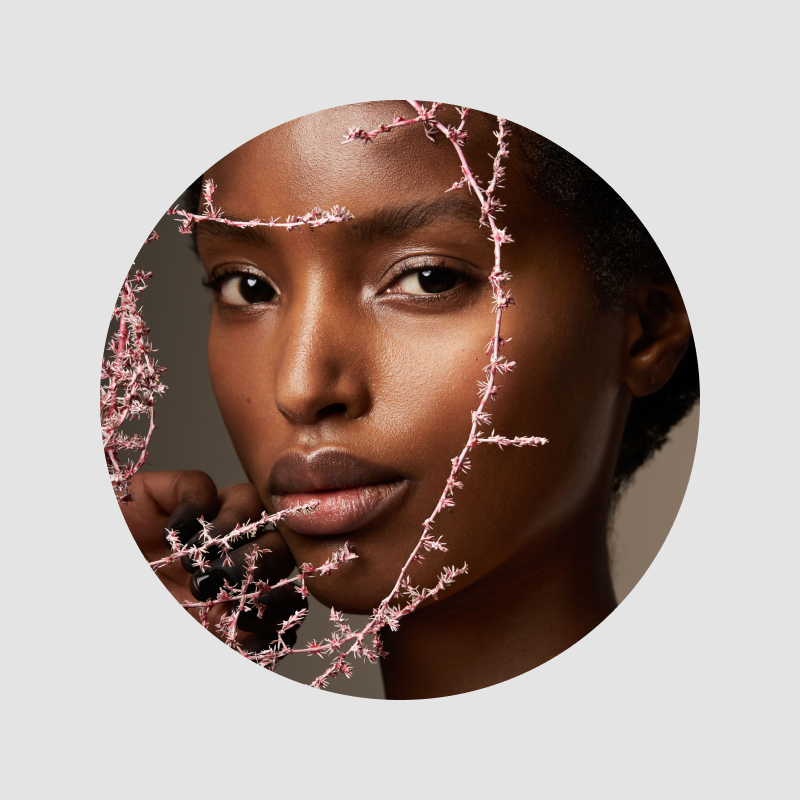 PACK BRAND FOUNDER THE UNTAMED MAROC